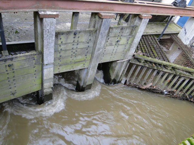 2011NWK069.jpg