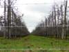 2011NWK038_small.jpg