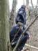 2011NWK050_small.jpg