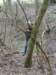 2011NWK056_small.jpg