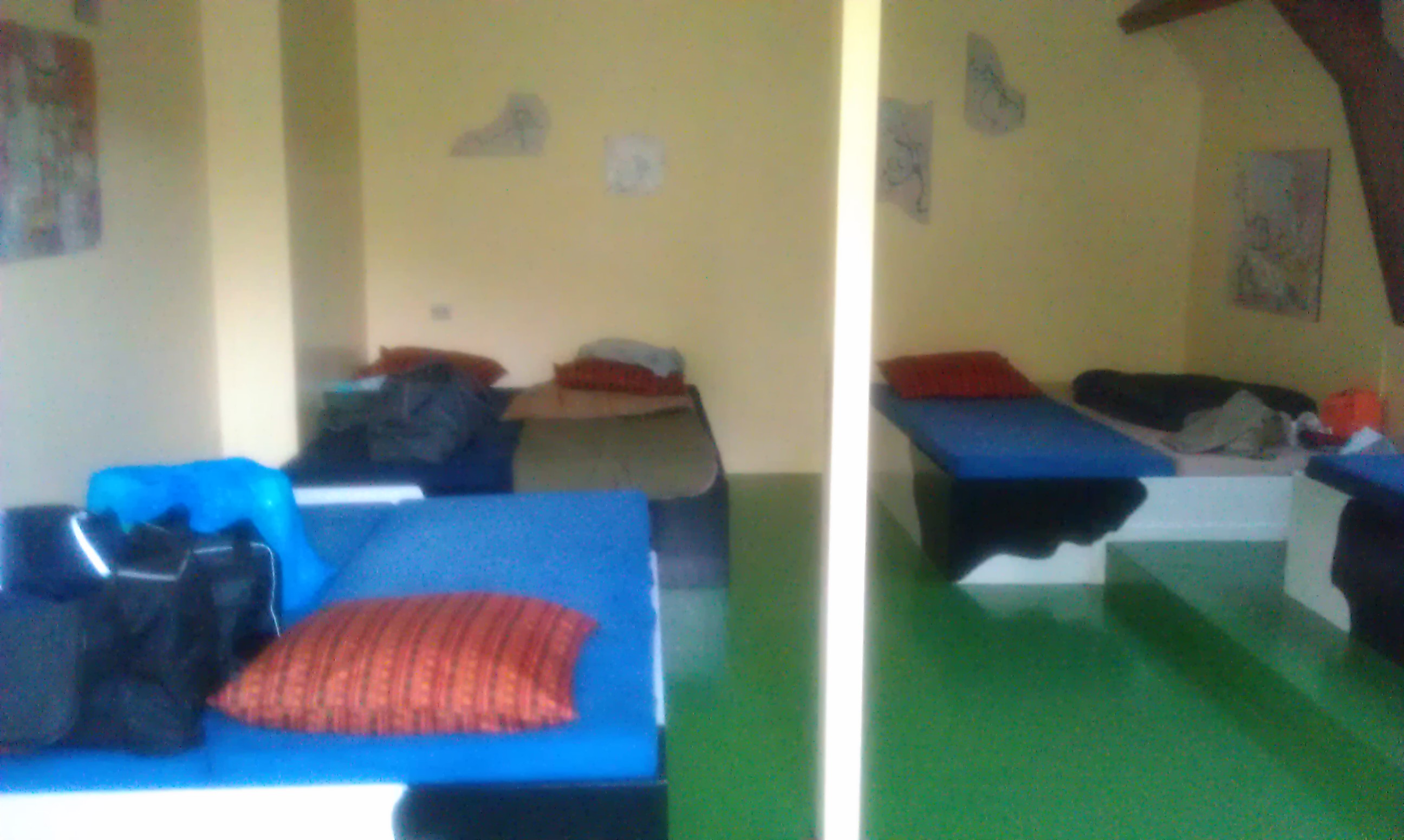 hwk002.jpg