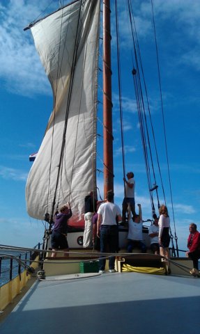 Zeilen011.jpg