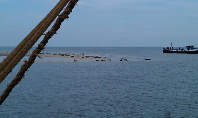 Zeilen034.jpg