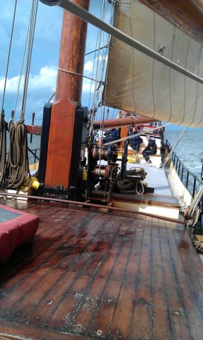 Zeilen076.jpg