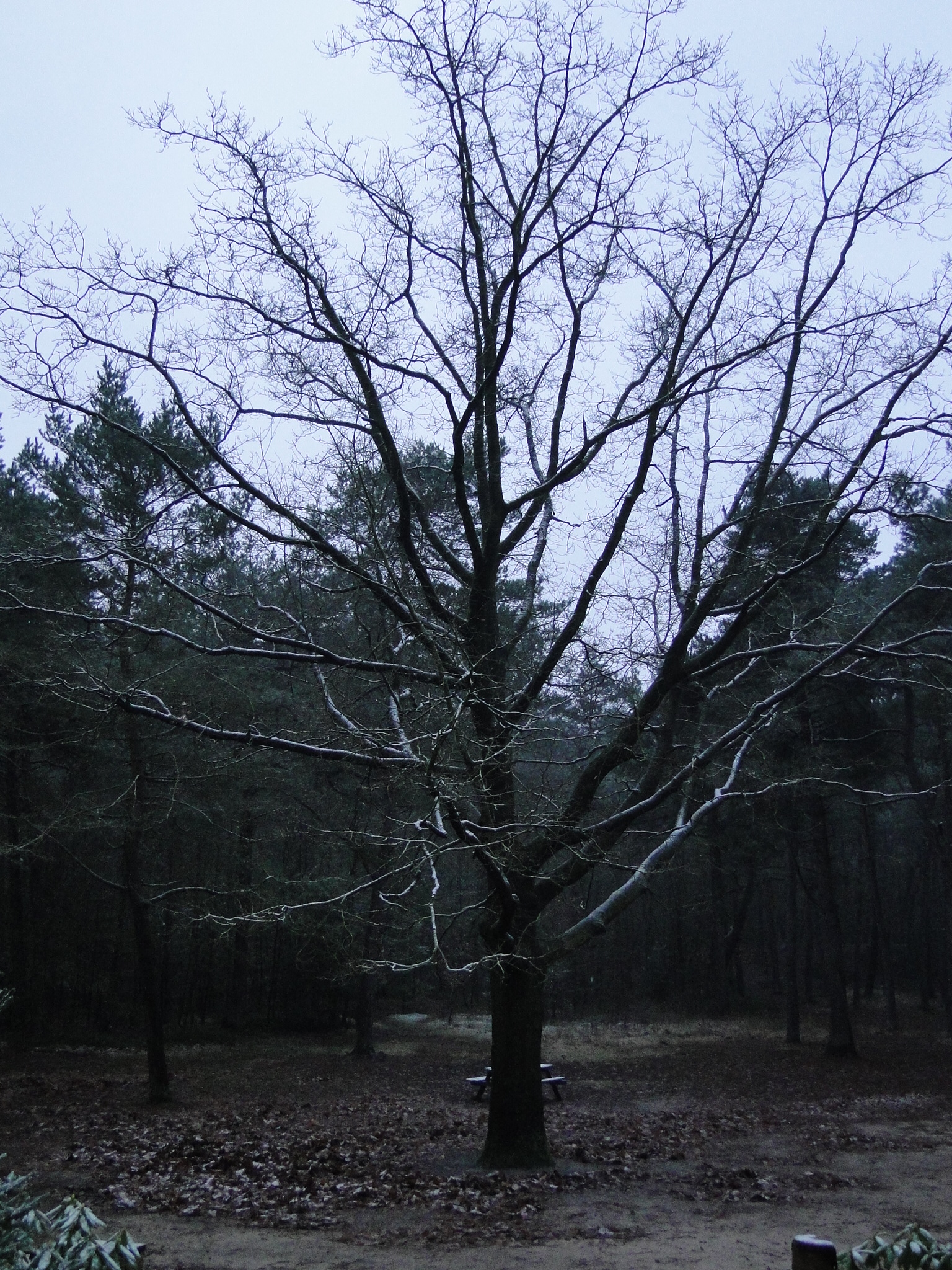 2013NWK001.jpg