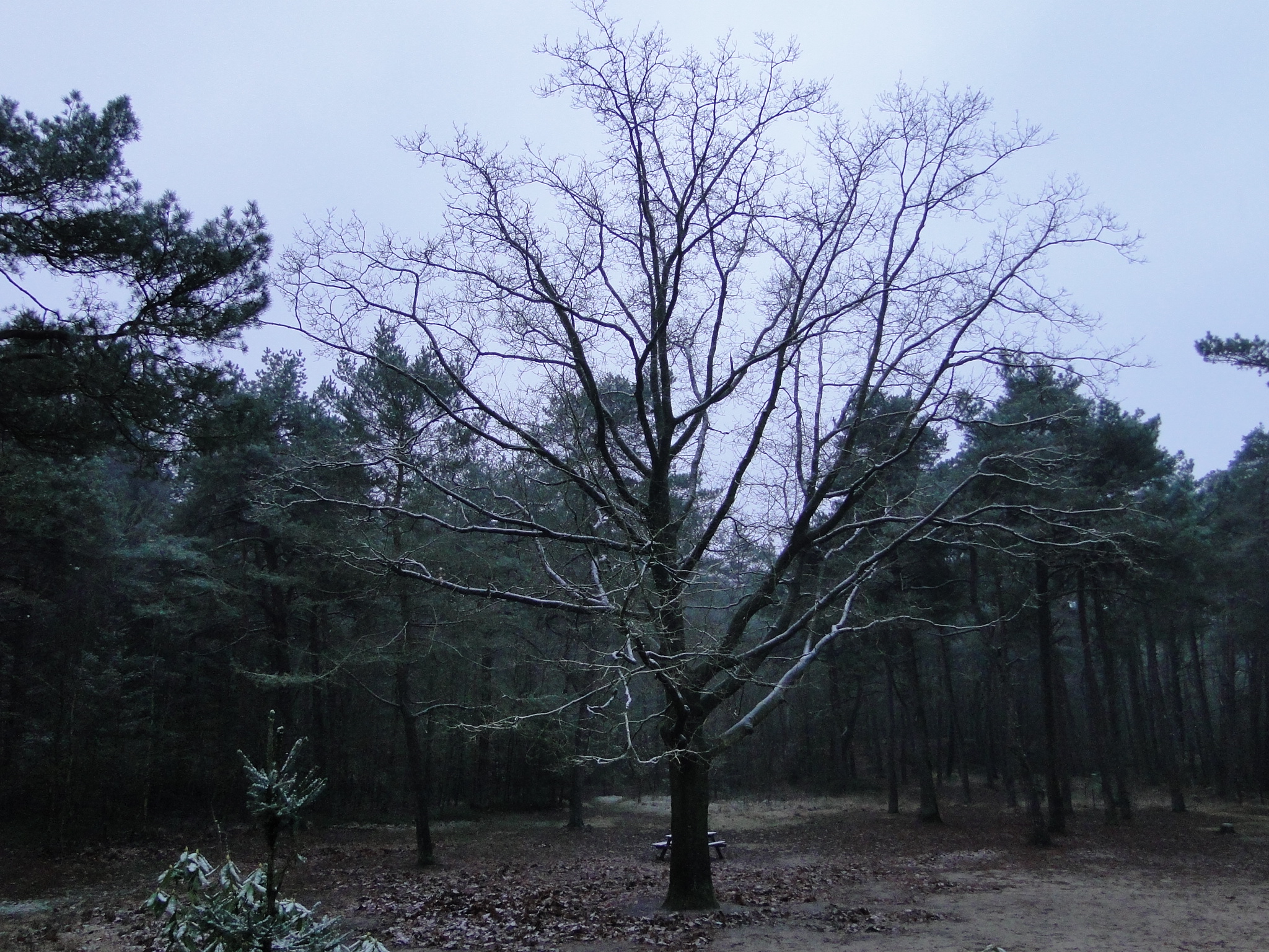 2013NWK002.jpg