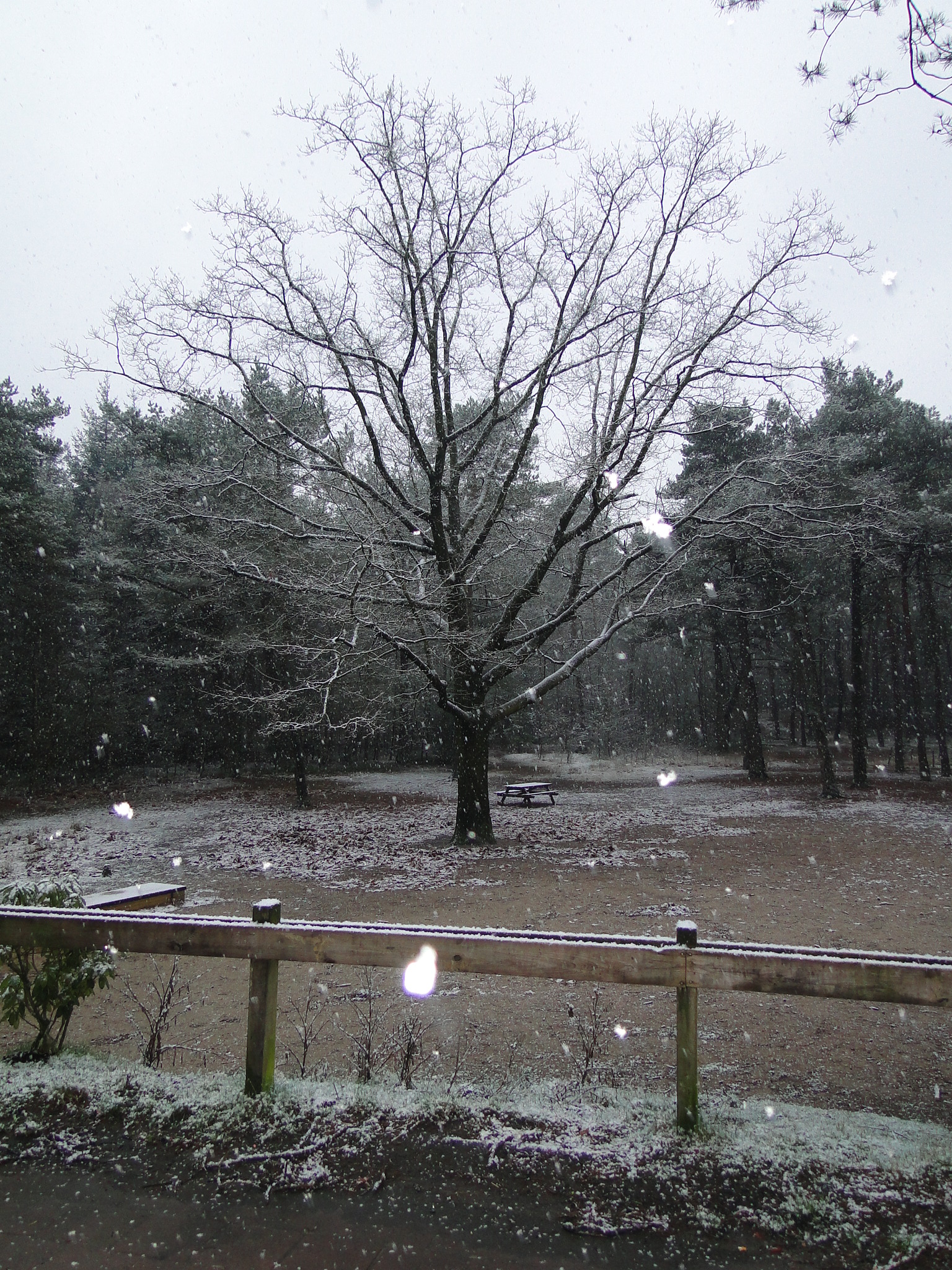 2013NWK005.jpg