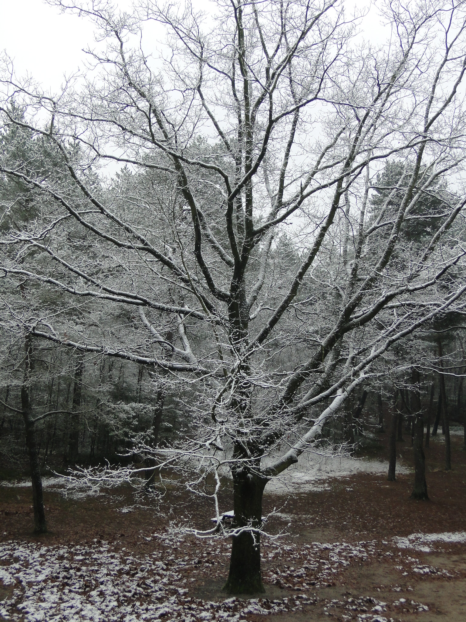 2013NWK010.jpg