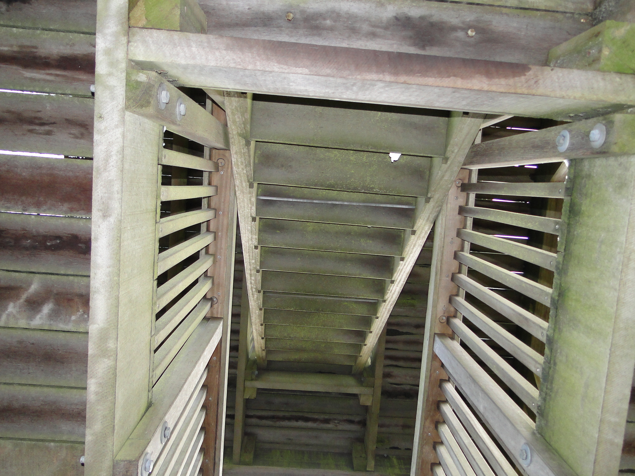2013NWK025.jpg