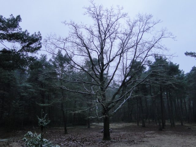 2013NWK002.jpg