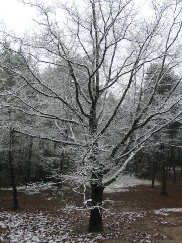 2013NWK010.jpg