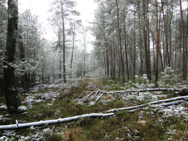 2013NWK020.jpg