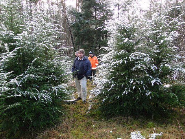 2013NWK022.jpg