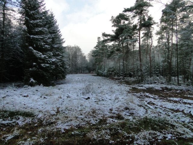 2013NWK024.jpg