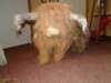 2013NWK031_small.jpg