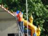 Koningsdag033_small.jpg