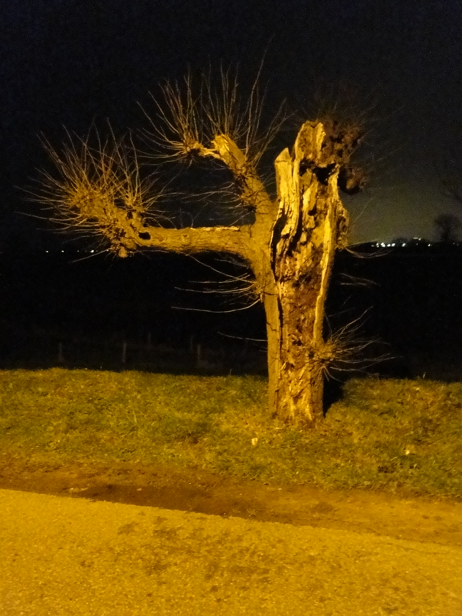 2014NWK041.jpg