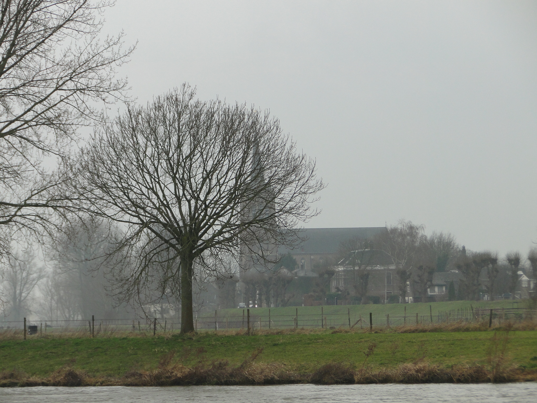 2014NWK097.jpg