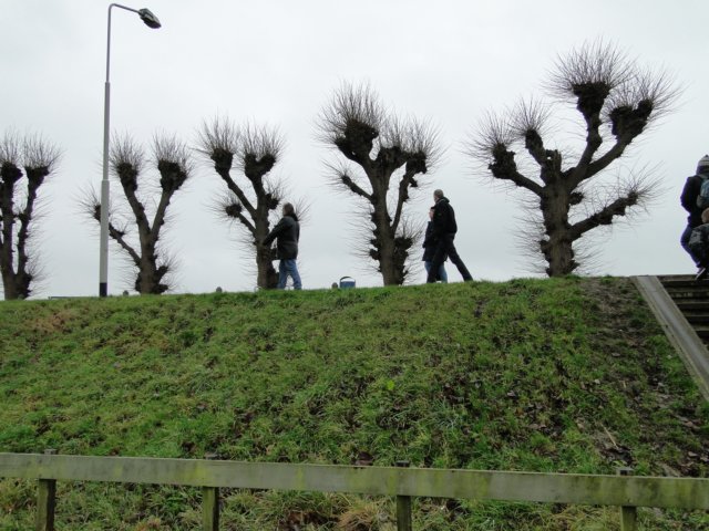 2014NWK083.jpg