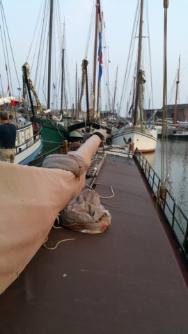 Zeilen005.jpg