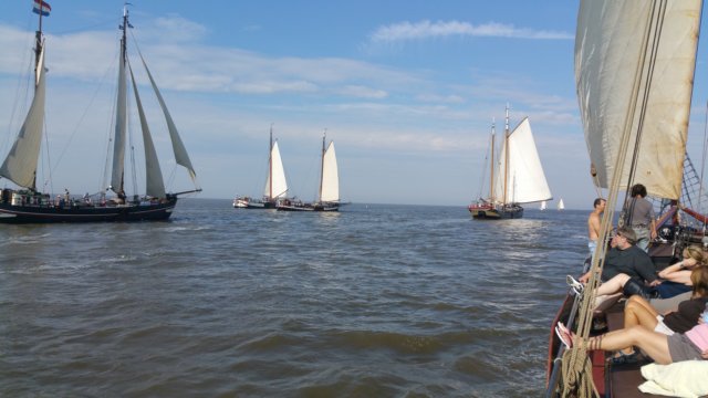 Zeilen012.jpg