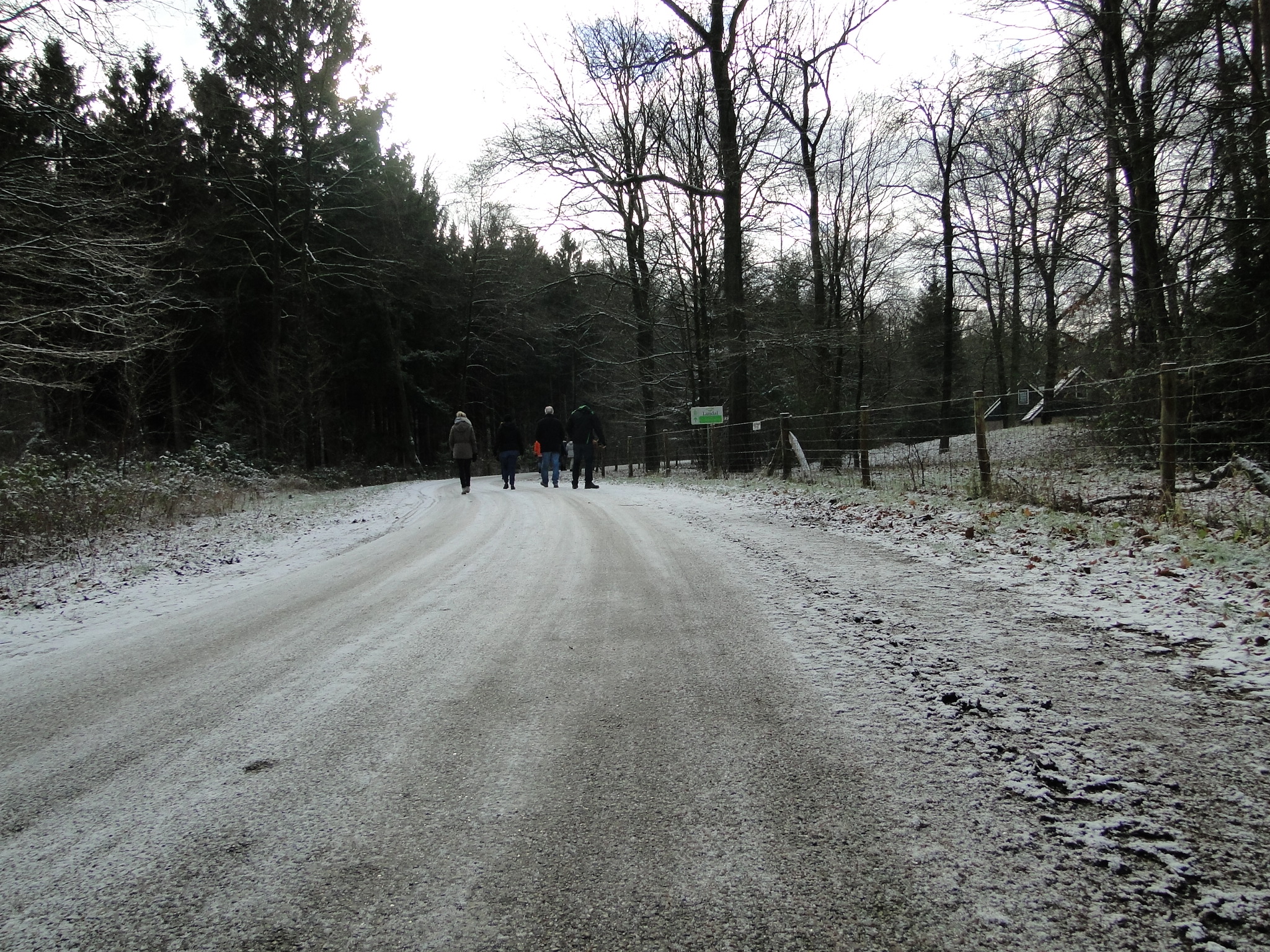 NWK047.jpg