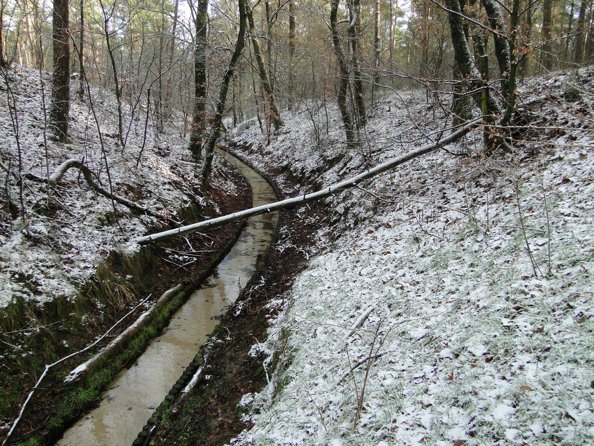 NWK058.jpg