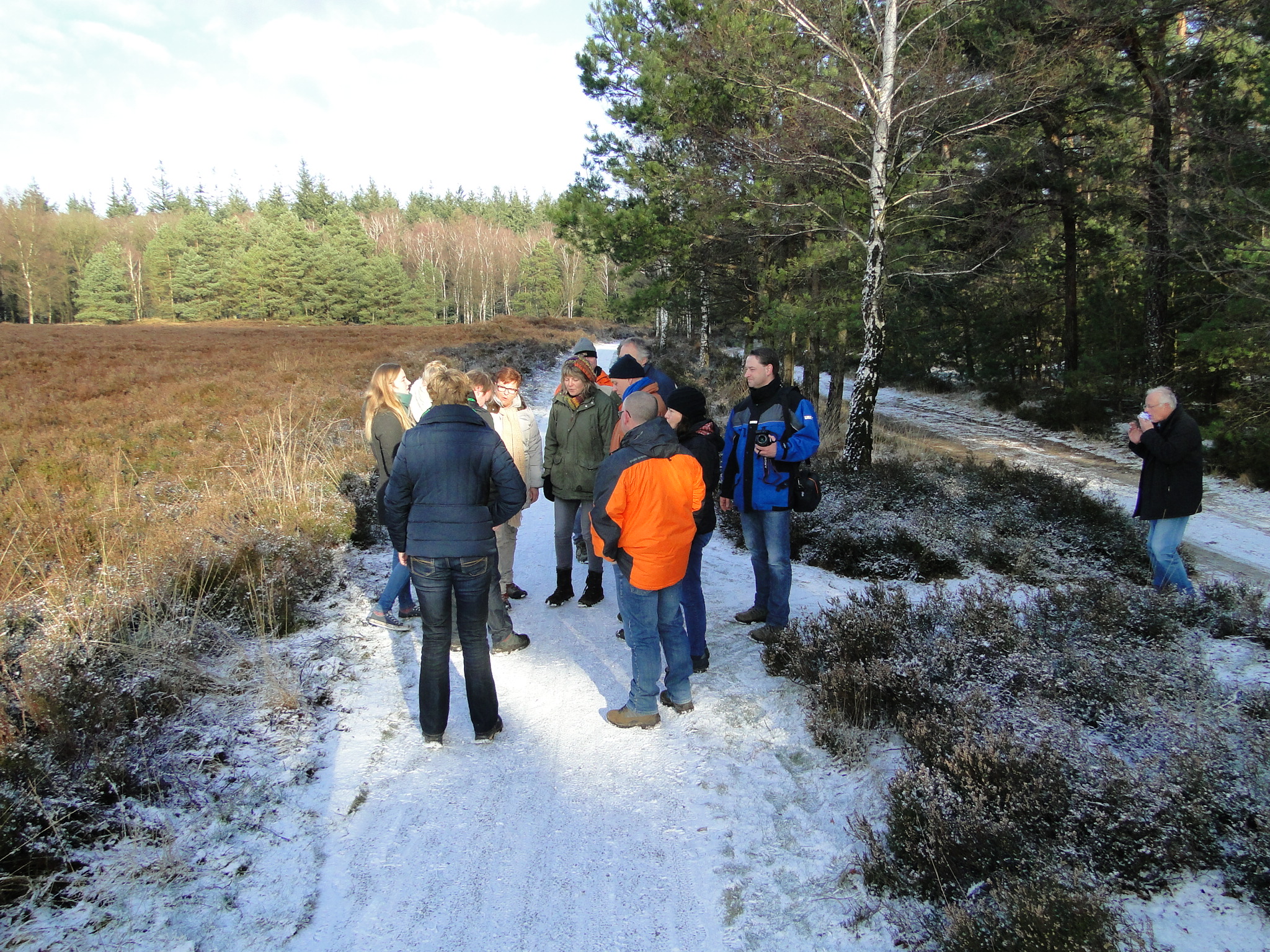 NWK065.jpg