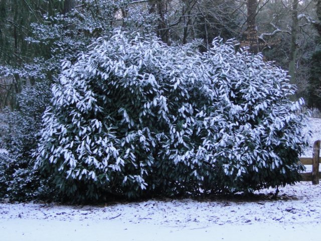 NWK029.jpg