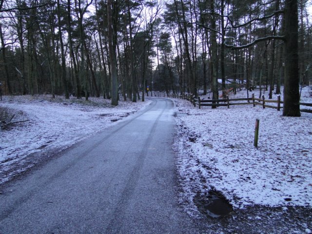 NWK033.jpg