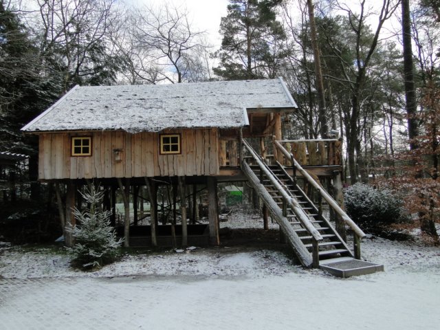 NWK043.jpg