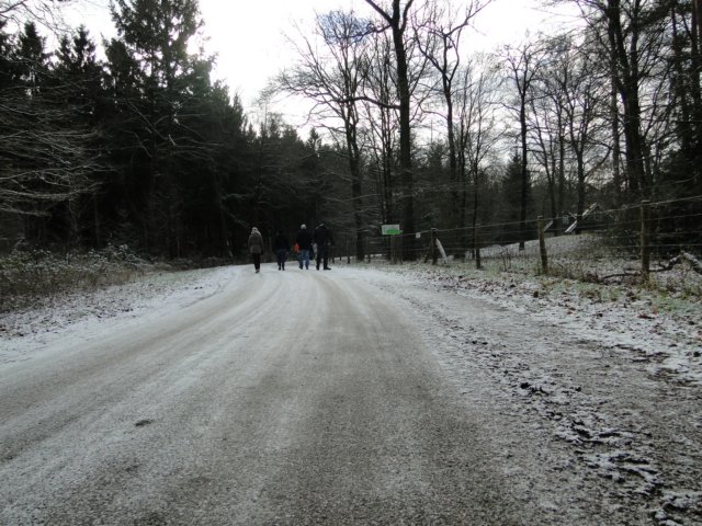 NWK047.jpg