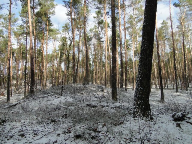 NWK059.jpg