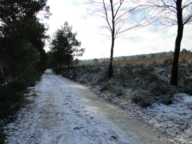NWK062.jpg