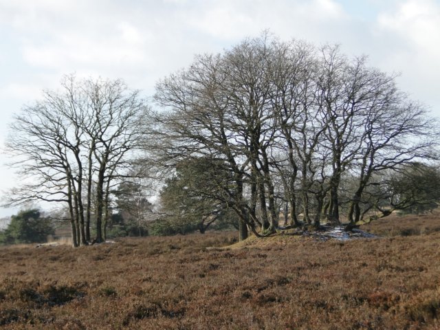 NWK063.jpg