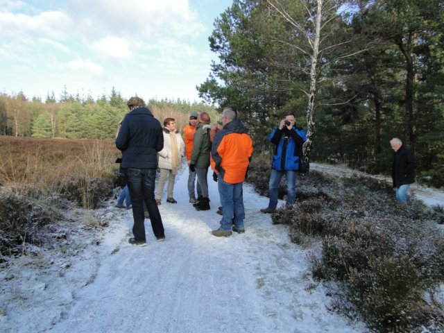 NWK066.jpg