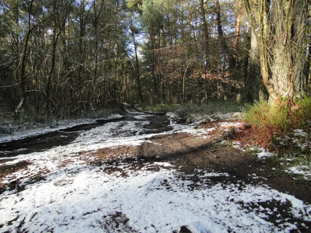 NWK067.jpg