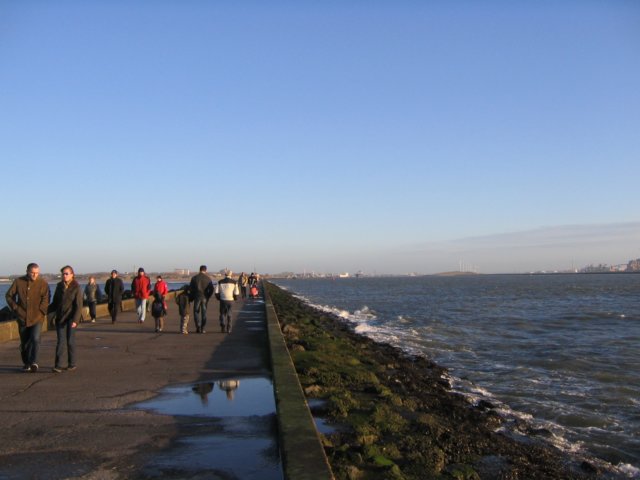 2007Strandwandeling011.jpg